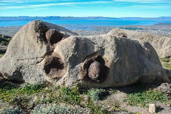 The Patagonian Steppe