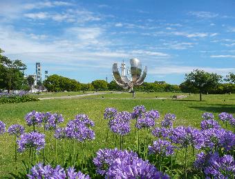 Floralis Generica by Eduardo Catelano