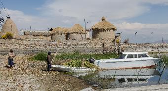 Collecting the reeds