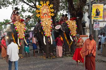 Elephant festival in Cochin