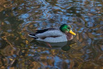 I like the reflections here