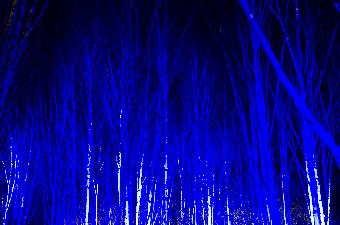 Anglesea Abbey Light Show